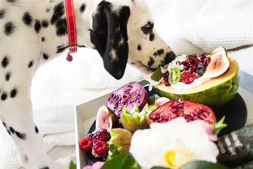 Dalmatien et fruits