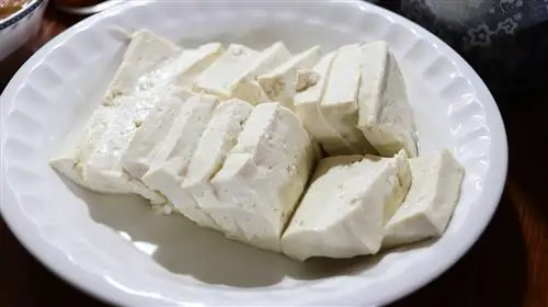 Pot pisicile să mănânce tofu? Ce trebuie sa stii