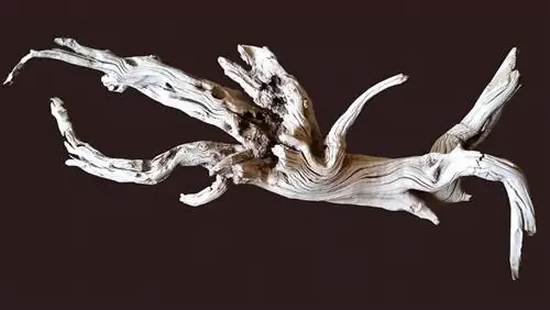 driftwood خشک خشک شده