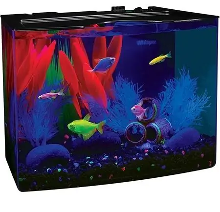 GloFish Aquarium Kit med blåt LED lys