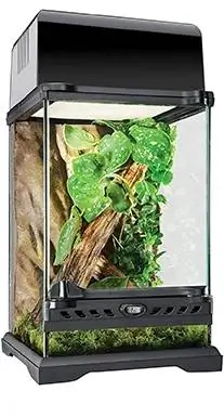 Terrarium en verre naturel Exo Terra