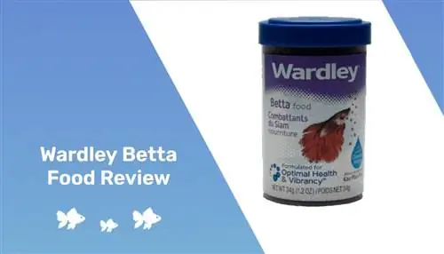 Wardley Betta Food Review 2023 – Ijobiy va salbiy tomonlar & Bizning yakuniy xulosamiz