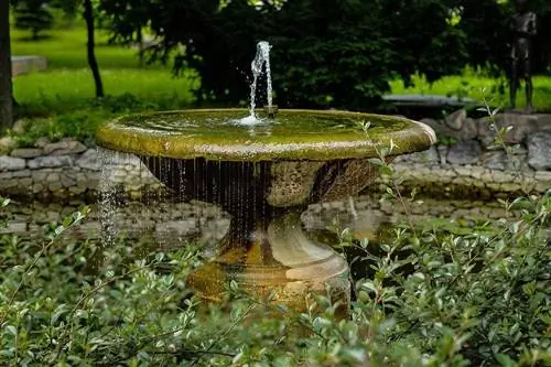 fontaine dans l'étang