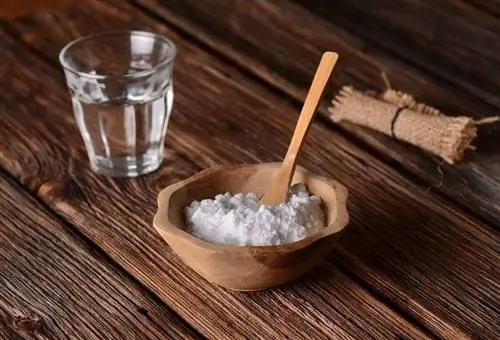 bicarbonate de soude dans le bol avec une cuillère en bois