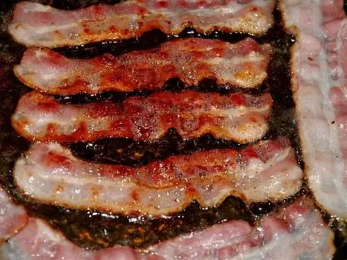 tiras de tocino frito