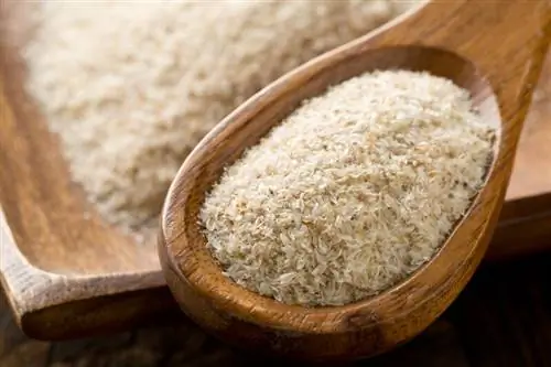 Psyllium kabuğu