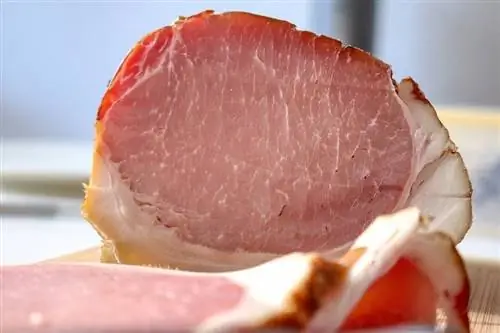 I gatti possono mangiare il prosciutto? Vet Reviewed He alth & Guida alla sicurezza