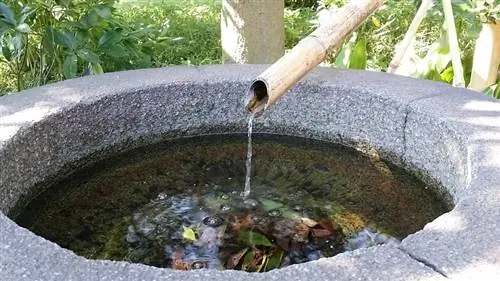 estanque de piedra en el jardín con bambú