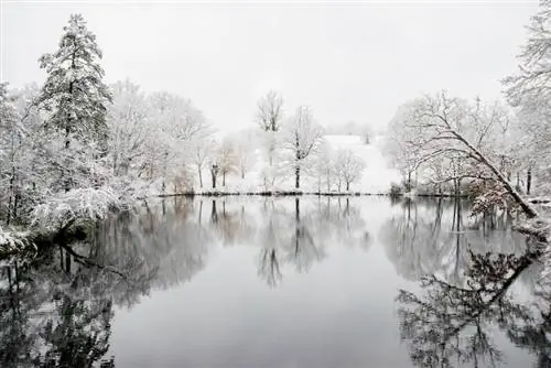 snedækket dam om vinteren