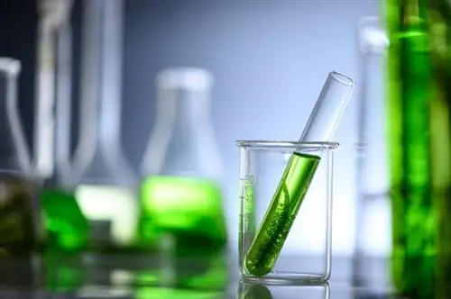 algae-research-in-laboratories_Chokniti-Khongchum_shutterstock