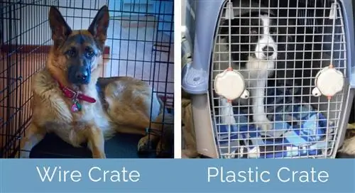 ሽቦ Crate vs የፕላስቲክ Crate