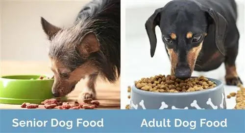 Adult_vsSenior_dogfood