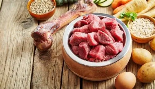 10 receitas caseiras de ração para cães com carne bovina (aprovadas por veterinários)