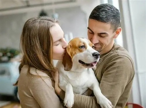 pareja joven con su mascota beagle