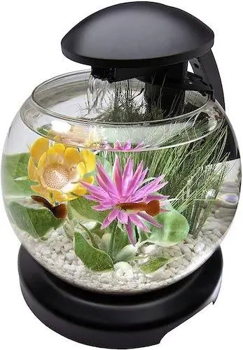 Tetra Waterfall Globe Aquarium Review 2023 – կողմ, դեմ և դատավճիռ