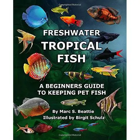 FRESHWATER TROPICAL FISH- GABAY NG NAGSIMULA SA PAG-INGAT NG PALAPI NA ISDA