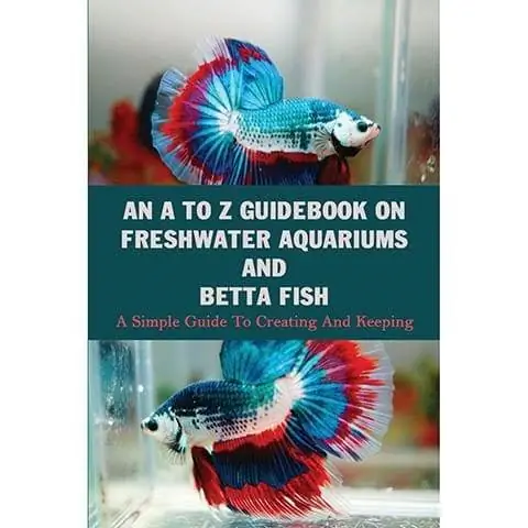 Isang A To Z Guidebook Sa Mga Freshwater Aquarium at Betta Fish