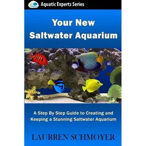 Ang Iyong Bagong S altwater Aquarium- Isang Hakbang-hakbang na Gabay sa Paglikha at Pagpapanatili ng Isang Nakamamanghang S altwater Aquarium