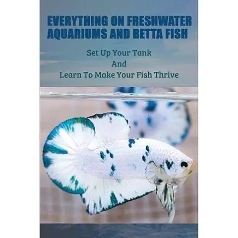 Everything On Freshwater Aquariums & Betta Fish