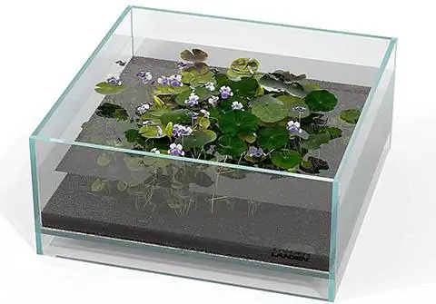 Landen Rimless Low Iron Aquarium Aquarium Tank