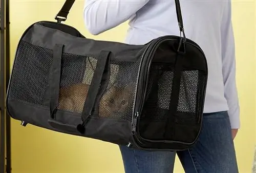 10 Pinakamahusay na Cat Carrier para sa Long-Distance na Paglalakbay noong 2023 – Mga Review & Mga Nangungunang Pinili