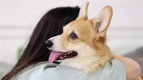 Dueña de mascota abrazando a su perro corgi