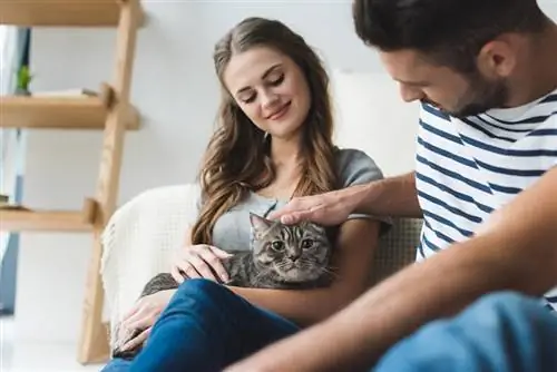 una pareja joven acariciando a su gato en casa