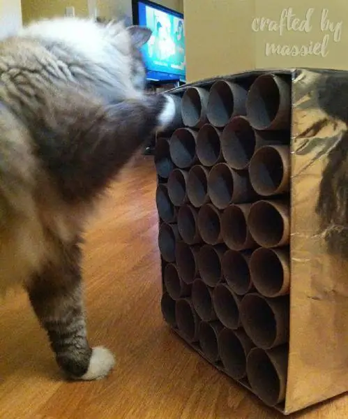 DIY Cat Enrichment Toy