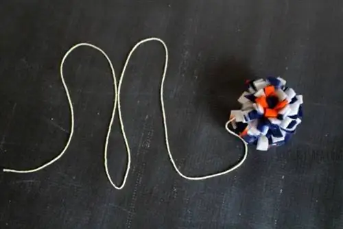 DIY No-Sew Cat Toys for Mordu