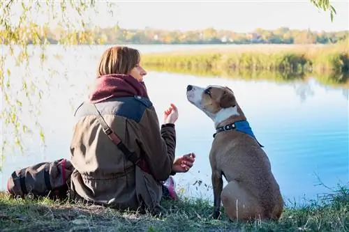 pies terapeutyczny siedzi z właścicielem nad jeziorem