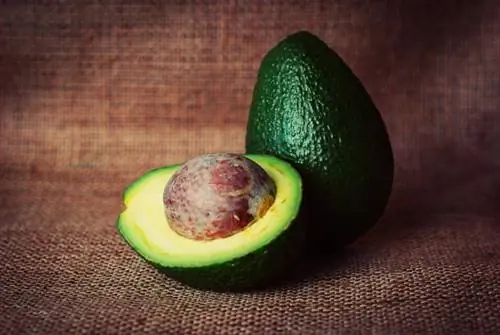 avokaado