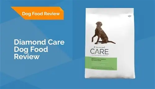 Diamond Care Dog Food Review 2023: terugroepacties, voordelen & nadelen