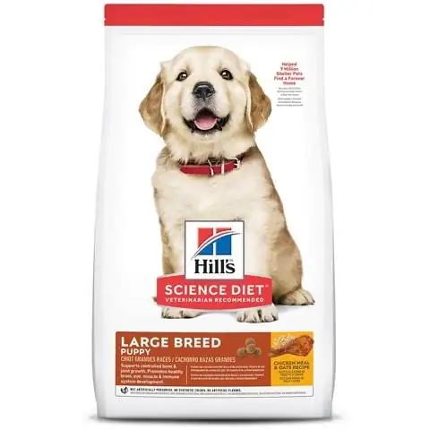 Hill's Science Diet Puppy Dry Dog Food