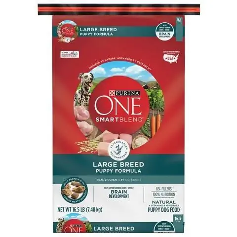 Purina ONE SmartBlend Puppy Formula Dry Dog Food