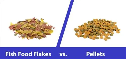 Fiskematflak vs pellets: viktige forskjeller, fordeler & ulemper