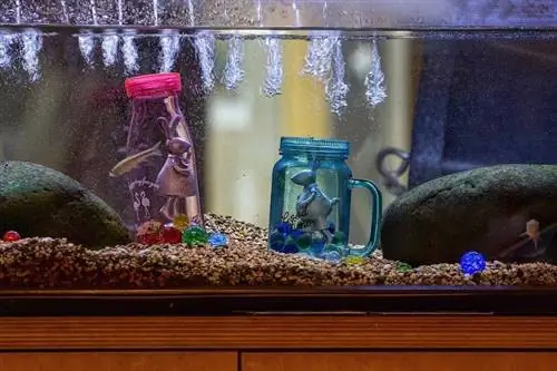 aquarium የሚረጭ አሞሌ