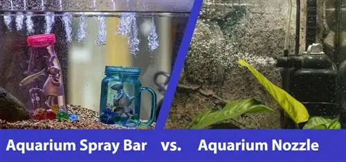 Aquarium Spray Bar vs Bico: qual escolher?