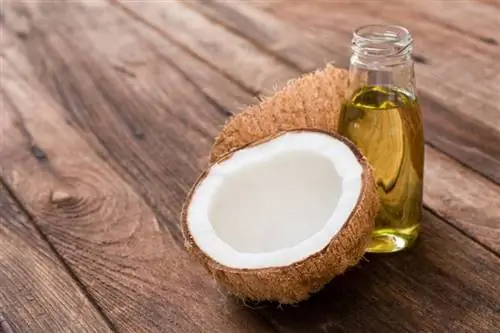 Frutta di cocco e olio di cocco isolato su sfondo tavolo in legno