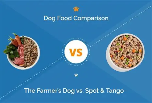 The Farmer's Dog vs Spot & Tango (2023 Hloov tshiab): Cov Zaub Mov Tshiab Dab Tsi Zoo dua?