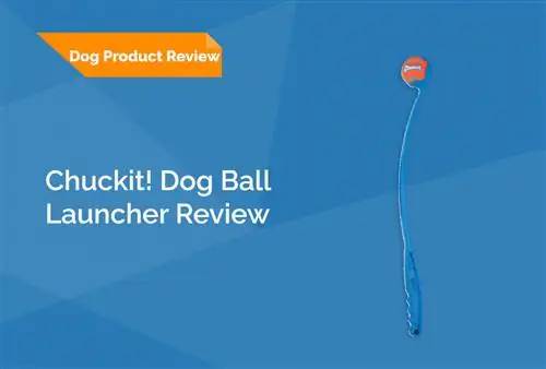 Chuckit! Dog Ball Launcher sharhi 2023 – ijobiy va salbiy tomonlar & hukm