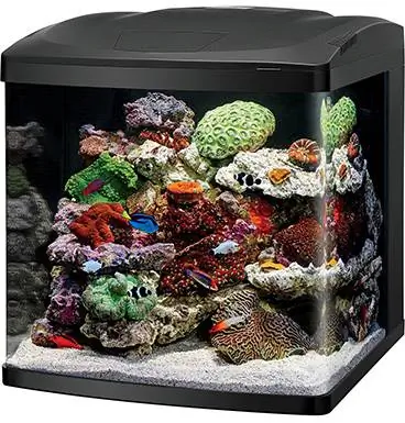 Coralife балық сыйымдылығы LED BioCube аквариумы