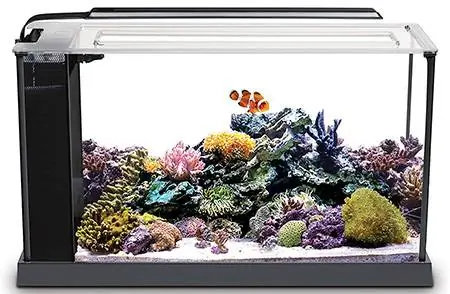 Fluval 10528A1 Evo V теңіз аквариумының жинағы