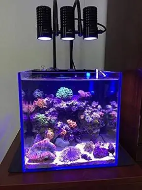 Luz LED marinha coral SPS LPS crescer mini nano aquário