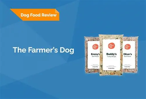 A Farmer's Dog Food Review 2023: Szakértőnk véleménye