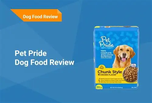 Pet Pride Dog Food Review 2023: Rov qab, Pros & Cons