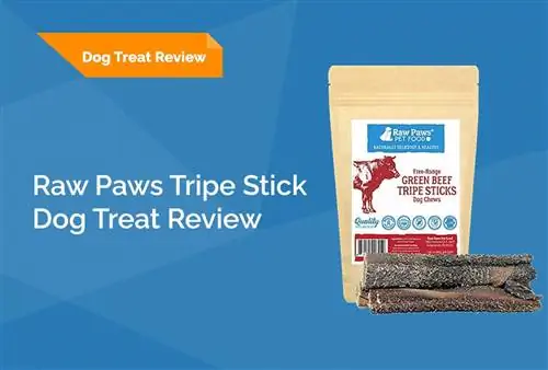 Reseña de Raw Paws Green Beef Tripe Stick 2023: retiros del mercado, pros & Contras