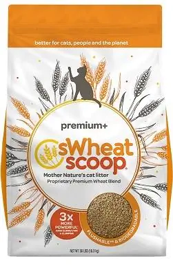 sWheat Scoop Premium+ Bezzapachowy zbrylający się żwirek pszenny dla kotów