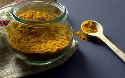 turmeric ფხვნილი