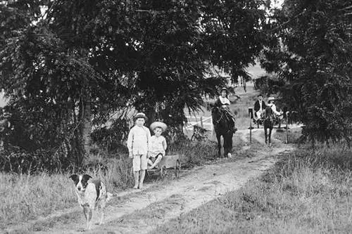 Qeni i zhdukur i Halls Heeler në fotografinë e vjetër të Tracksons