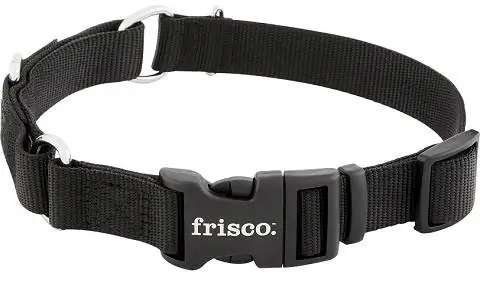 Coleira de cachorro Martingale de nylon sólido Frisco com fivela